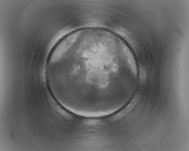 X0000112851278200910021244