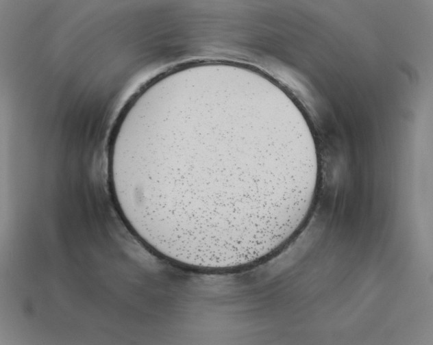 X0000112851280200910021244