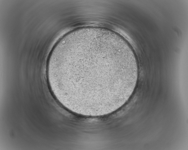 X0000112851283200910021244