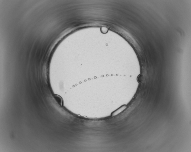 X0000112851284200910021244