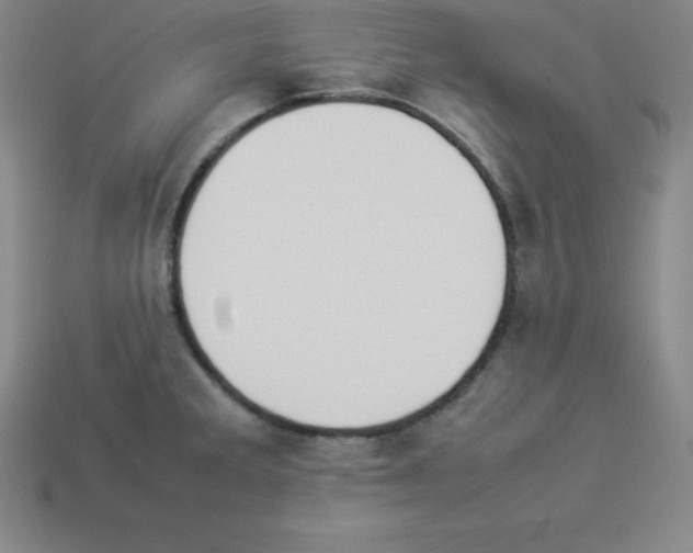 X0000112851285200910021244