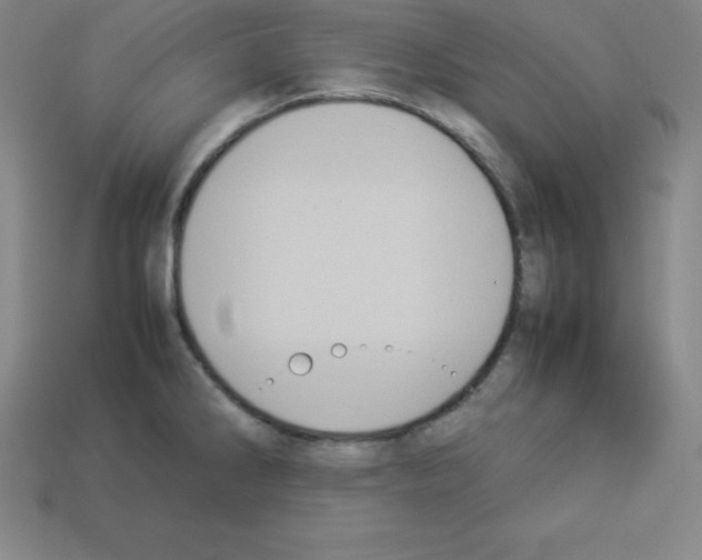 X0000112851286200910021244