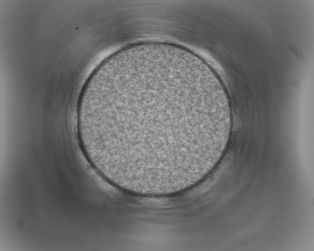 X0000112851287200910021244