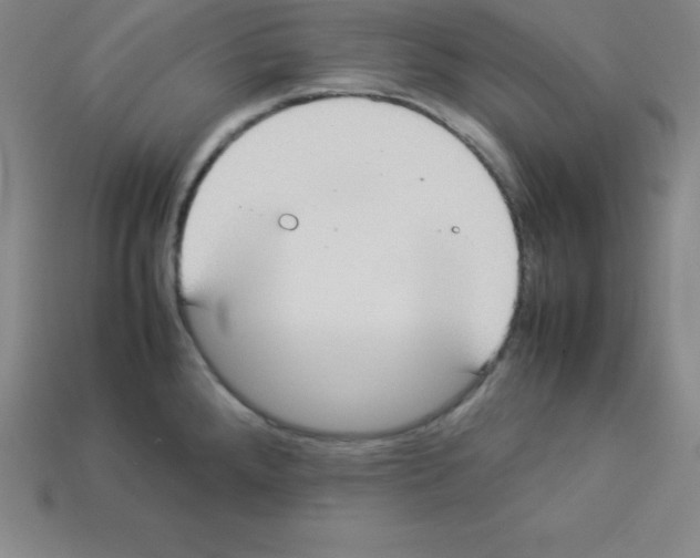 X0000112851288200910021244