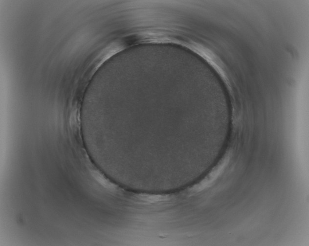 X0000112851289200910021244