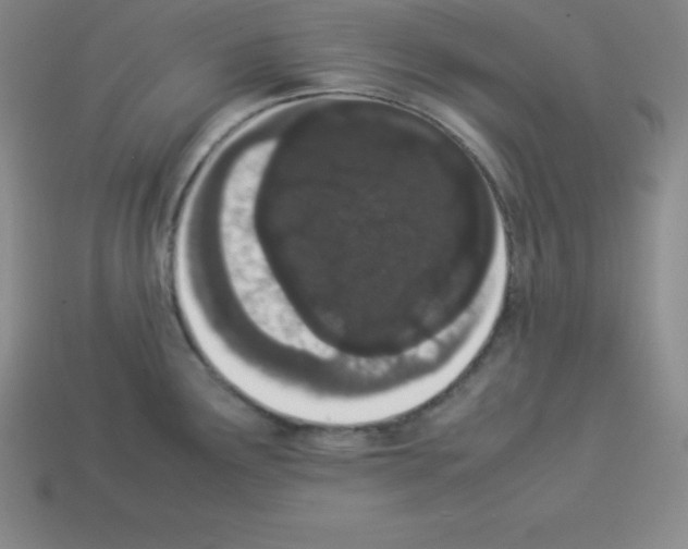 X0000112851291200910021244