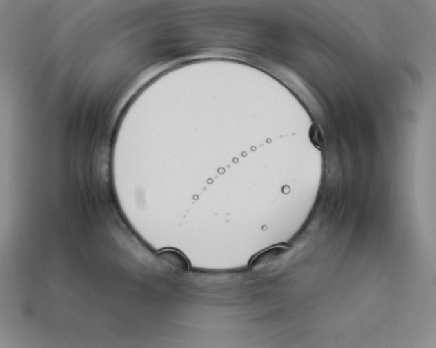 X0000112851292200910021244