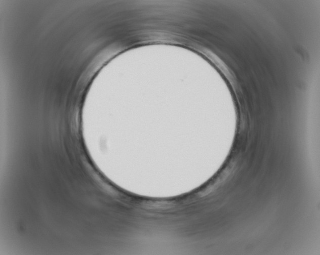 X0000112851293200910021244