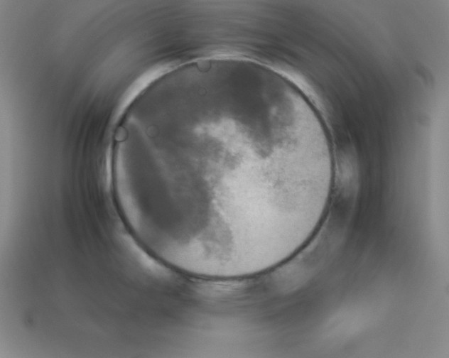 X0000112851294200910021244