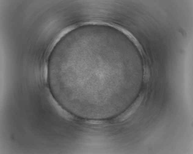 X0000112851295200910021244