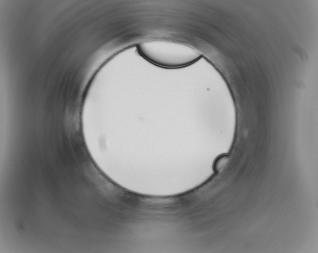 X0000112851296200910021244