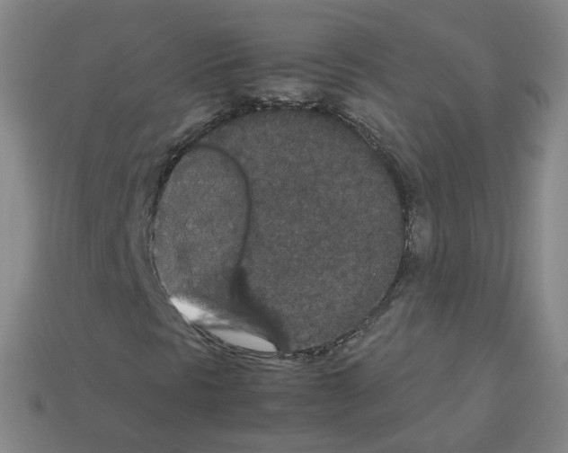 X0000112851297200910021243