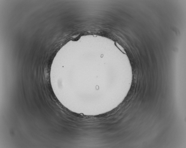 X0000112851298200910021243