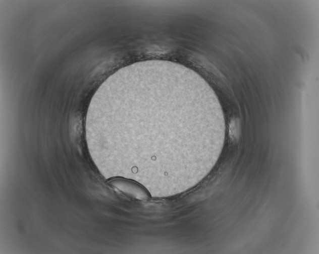 X0000112851299200910021243