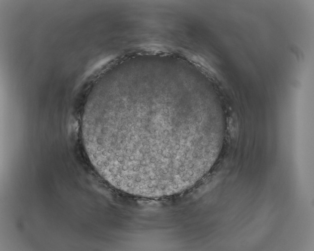 X0000112851302200910021243