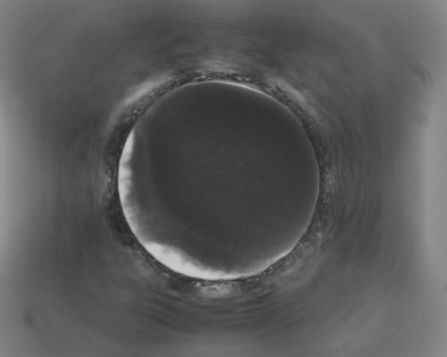 X0000112851303200910021243