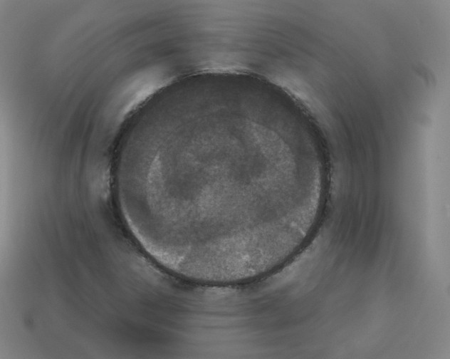 X0000112851306200910021243