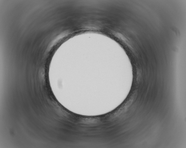 X0000112851307200910021243