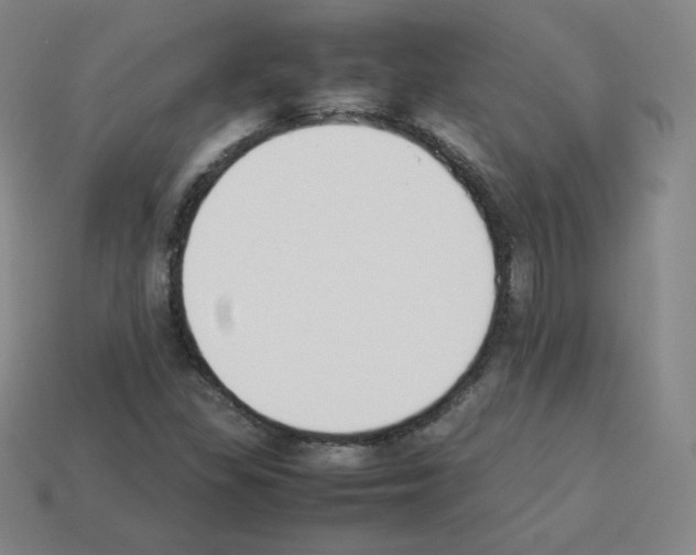 X0000112851309200910021243