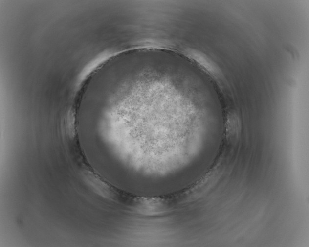 X0000112851310200910021243