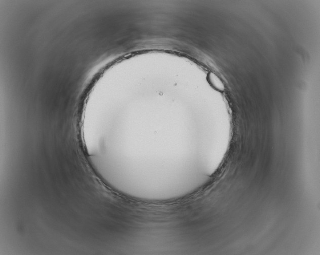 X0000112851312200910021243