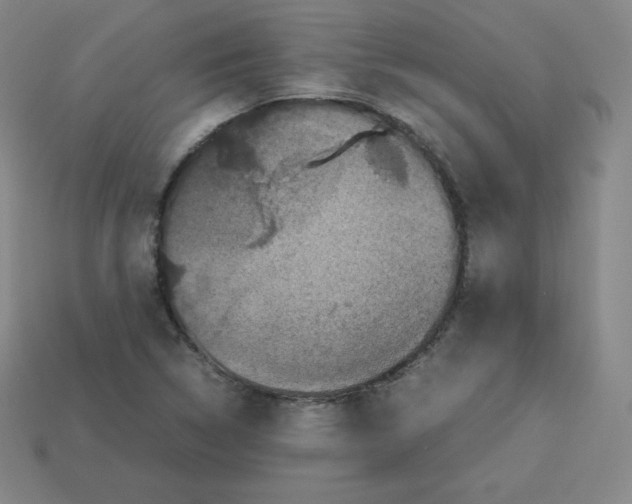 X0000112851314200910021243