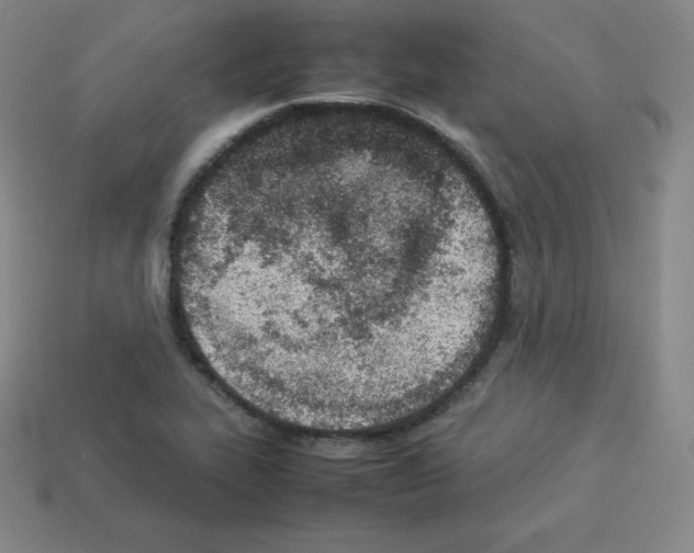 X0000112851319200910021243