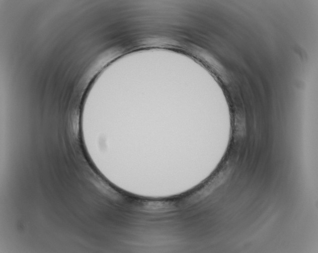 X0000112851322200910021243