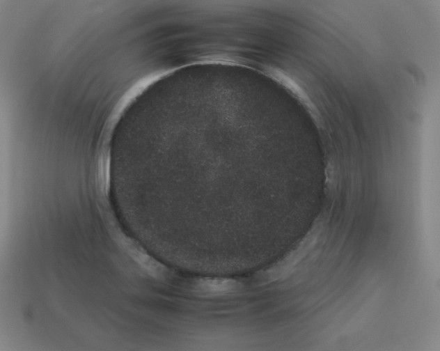 X0000112851323200910021243