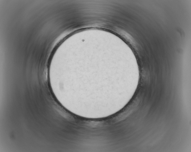 X0000112851324200910021243