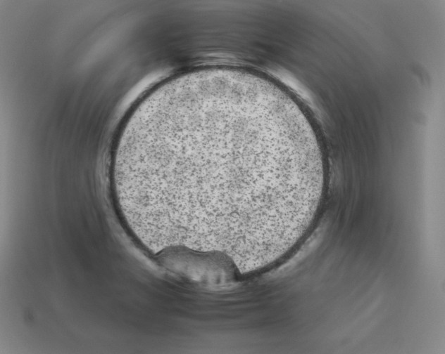 X0000112851325200910021243