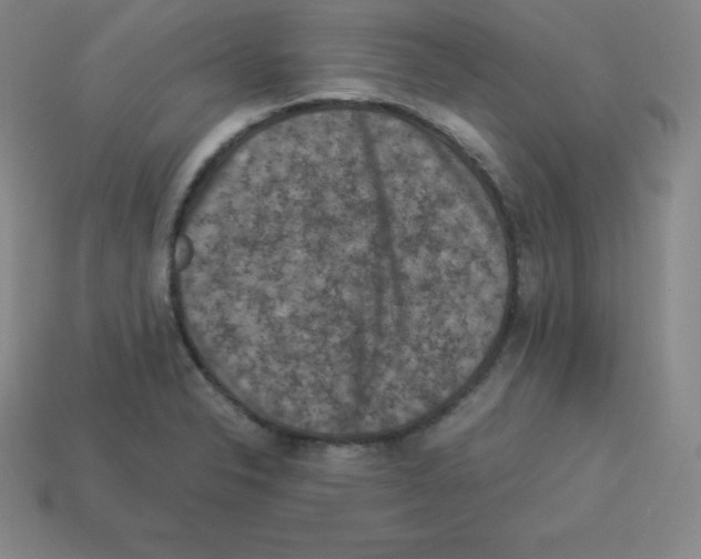 X0000112851326200910021243