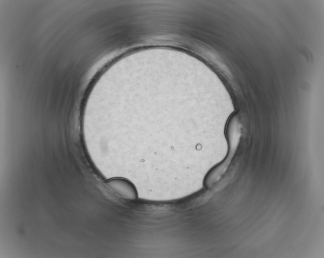 X0000112851328200910021244