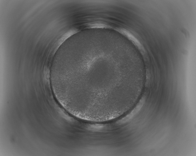 X0000112851329200910021244