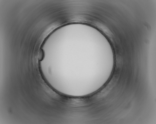 X0000112851330200910021244