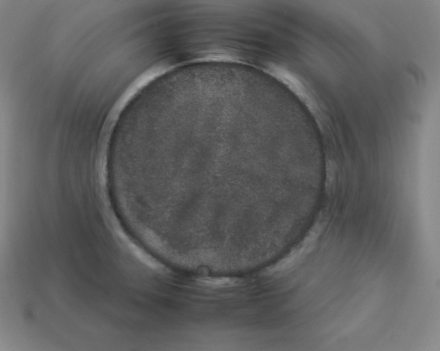 X0000112851331200910021244