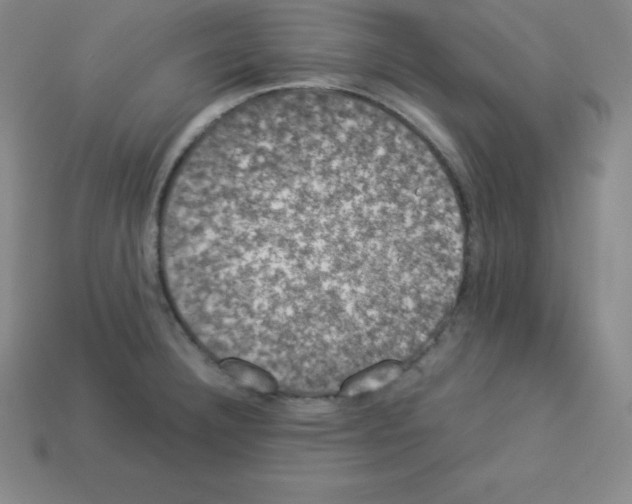 X0000112851332200910021244