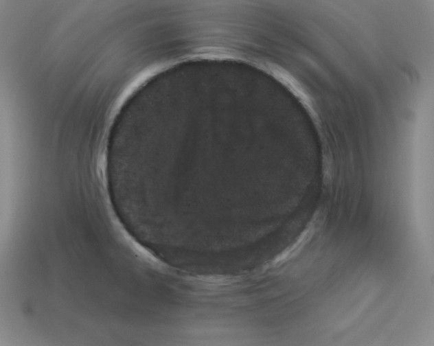 X0000112851334200910021244