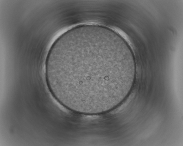 X0000112851335200910021244