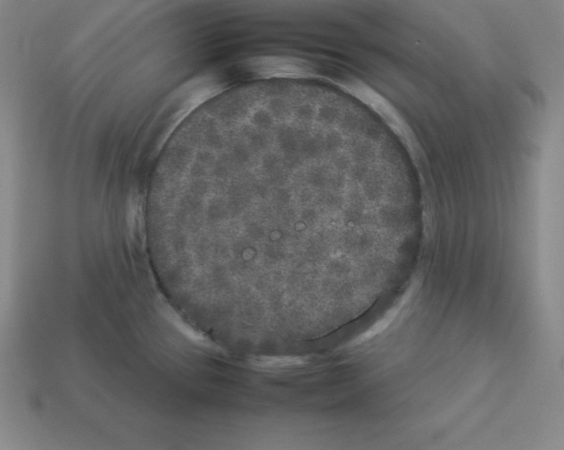 X0000112851337200910021244