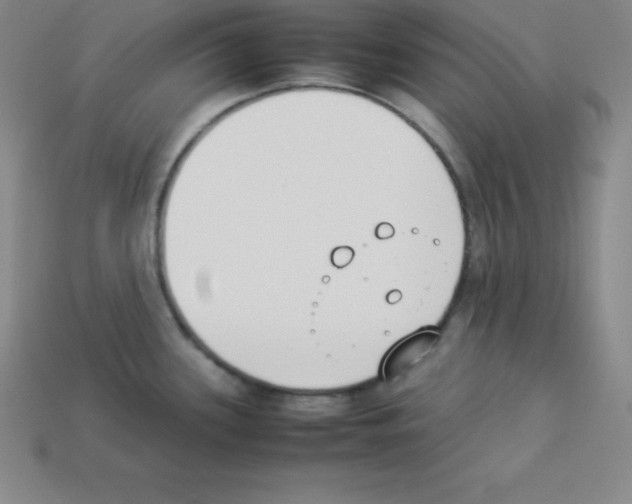 X0000112851339200910021244