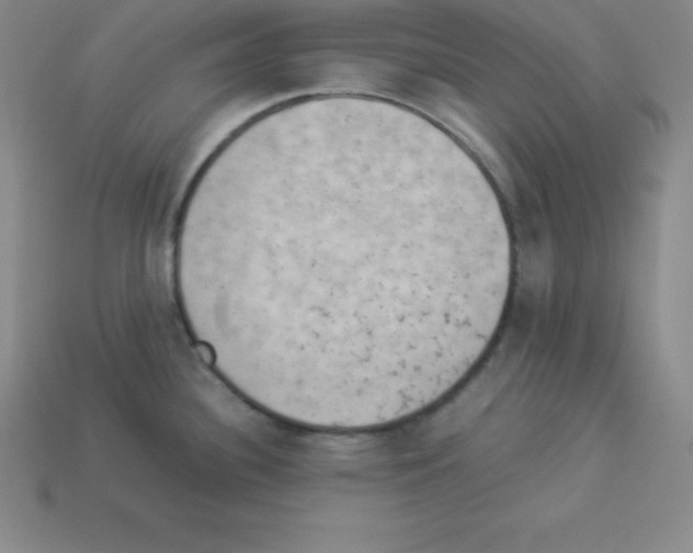 X0000112851340200910021244