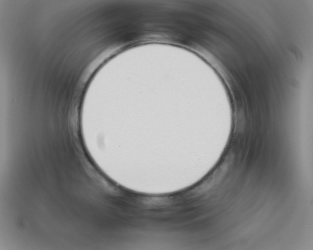 X0000112851341200910021244