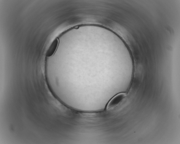 X0000112851342200910021244