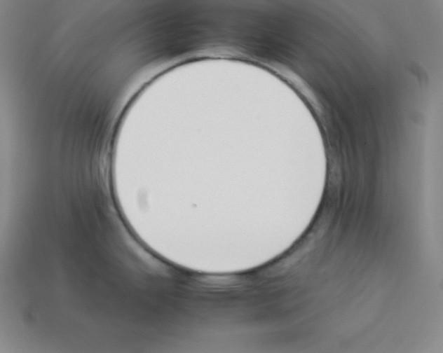 X0000112851343200910021244