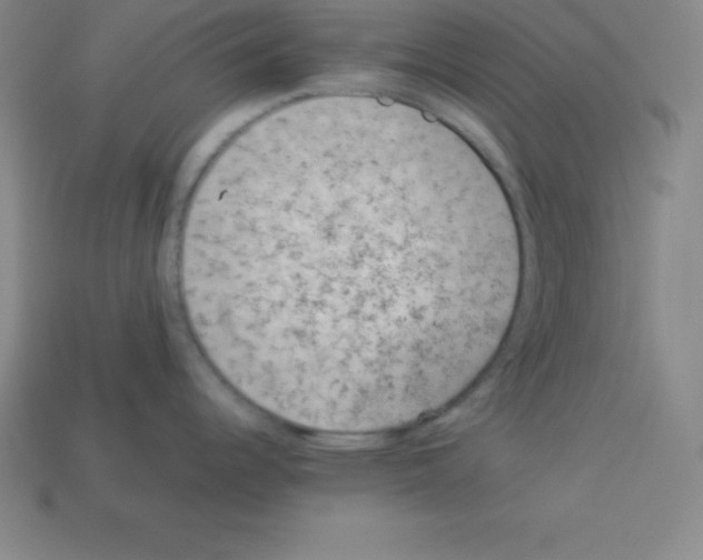 X0000112851344200910021244