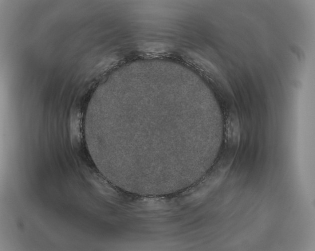 X0000112851346200910021243