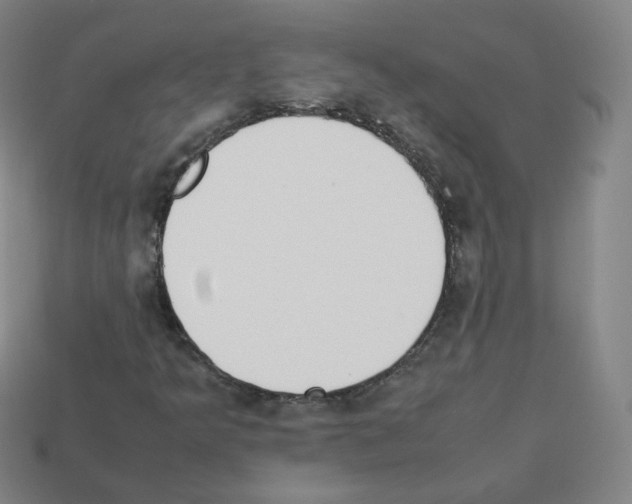 X0000112851349200910021243