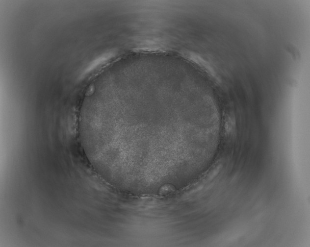 X0000112851350200910021243