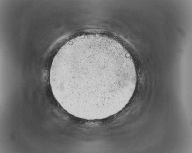 X0000112851351200910021243